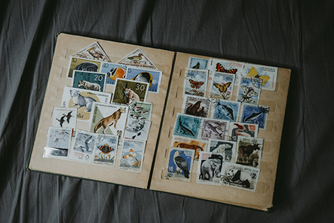 Decorative photo of part of a stamp collection inside an stamp album.